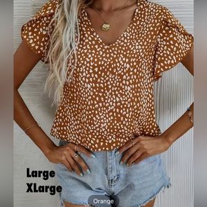 Women’s dress blouse.